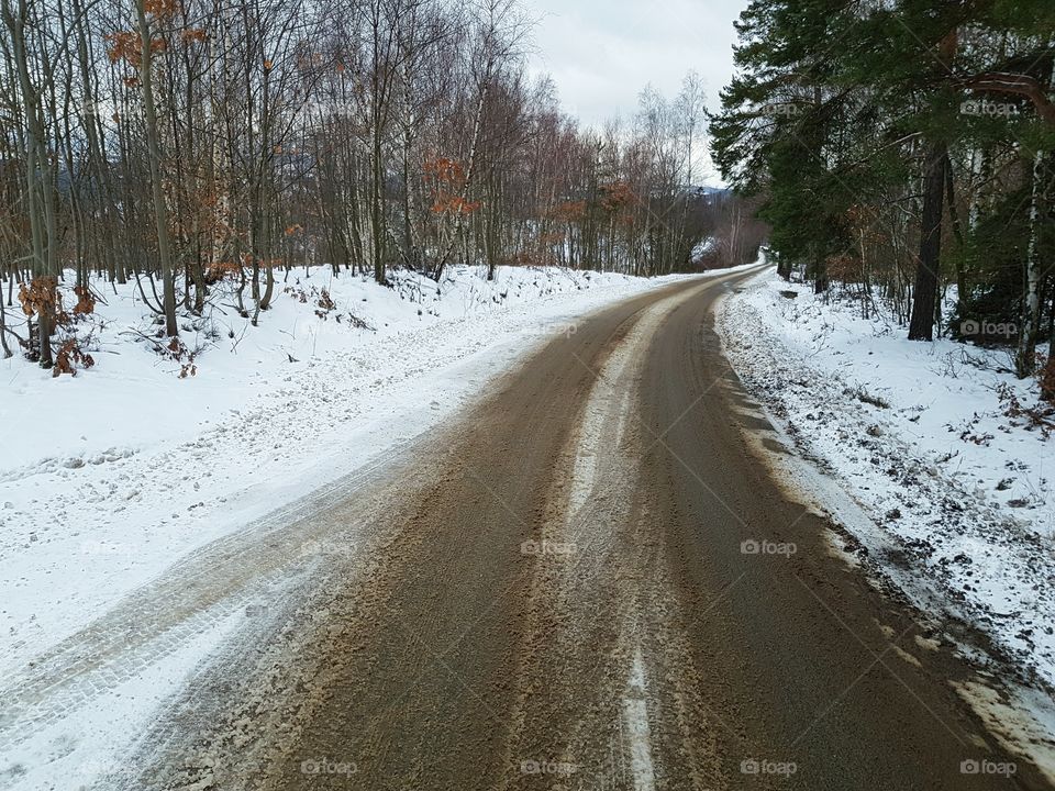 Road during winter