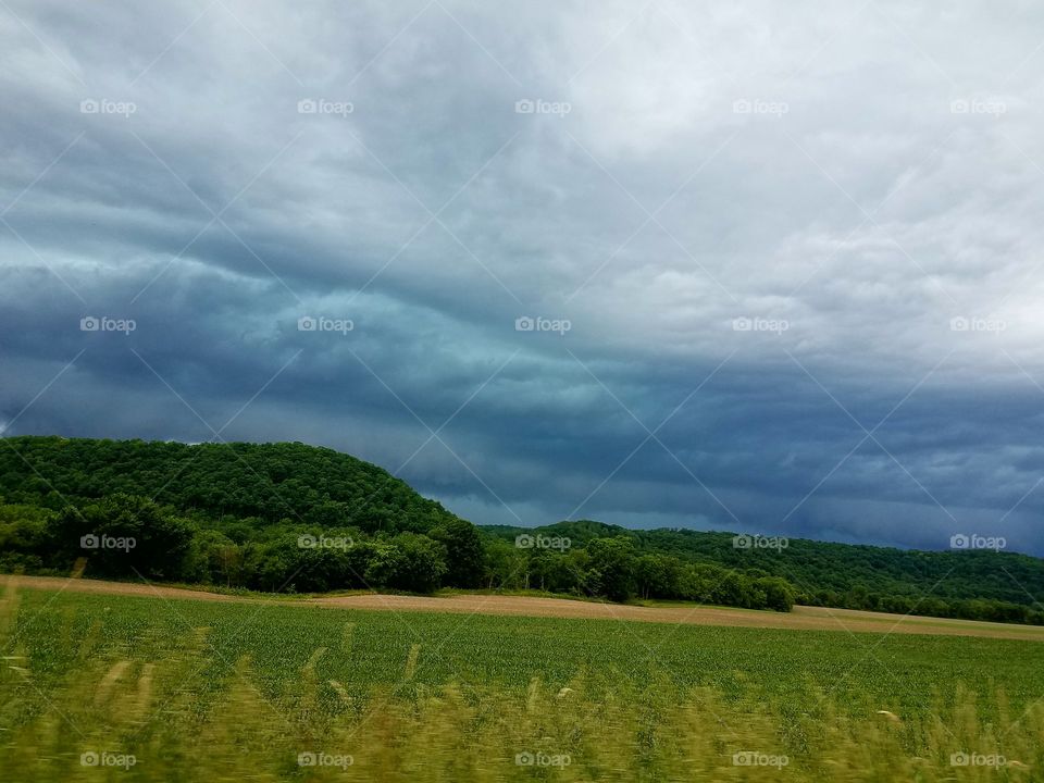 Driving the Back Roads and enjoying everything around us