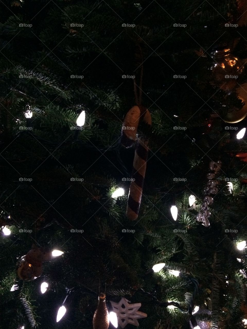 The Most Wonderful Time of the Year