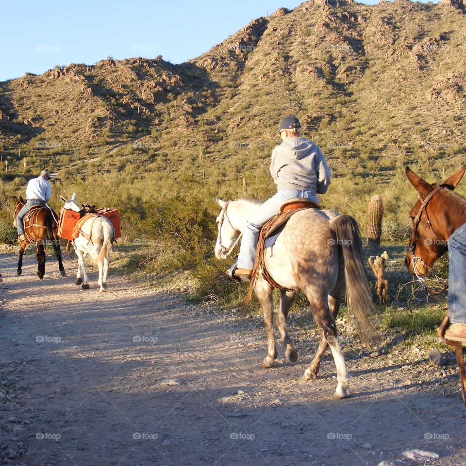 Horseback riders in the desert