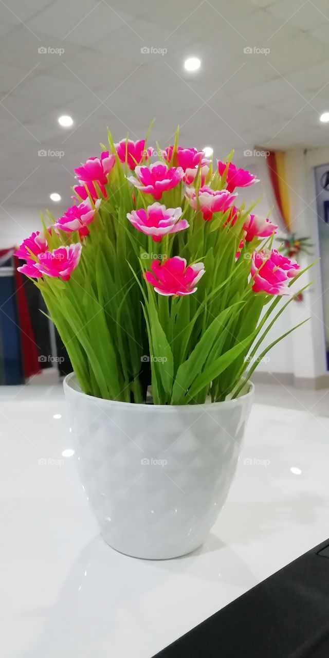 flower tub