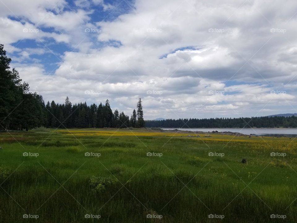 Oregon view