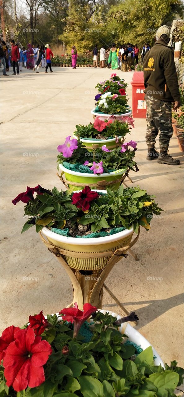 beautiful flower pot