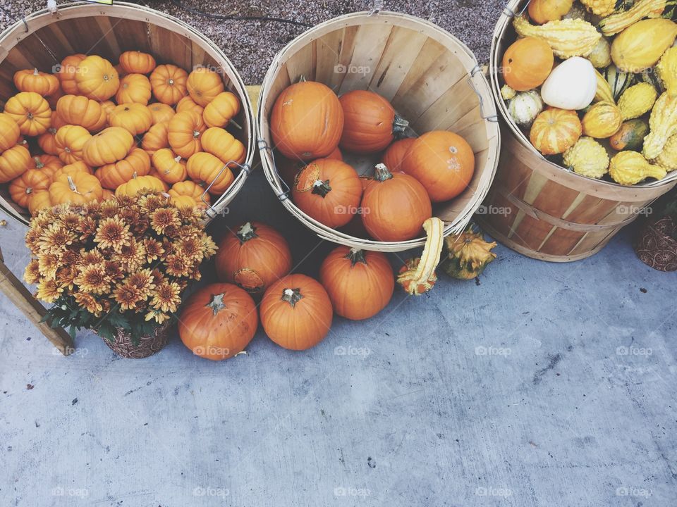 Pumpkins 