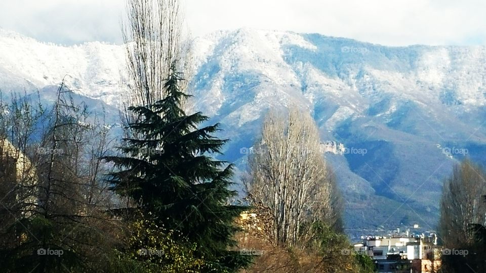 Snow on the Mountain