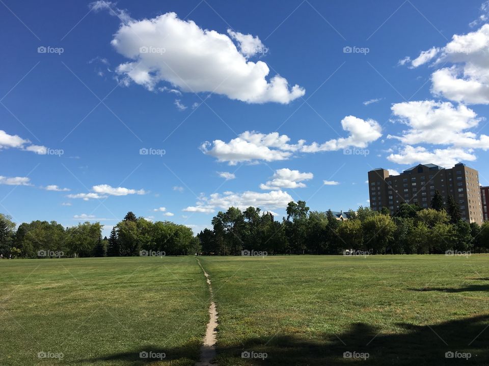 Landscape, Golf, Grass, No Person, Tree