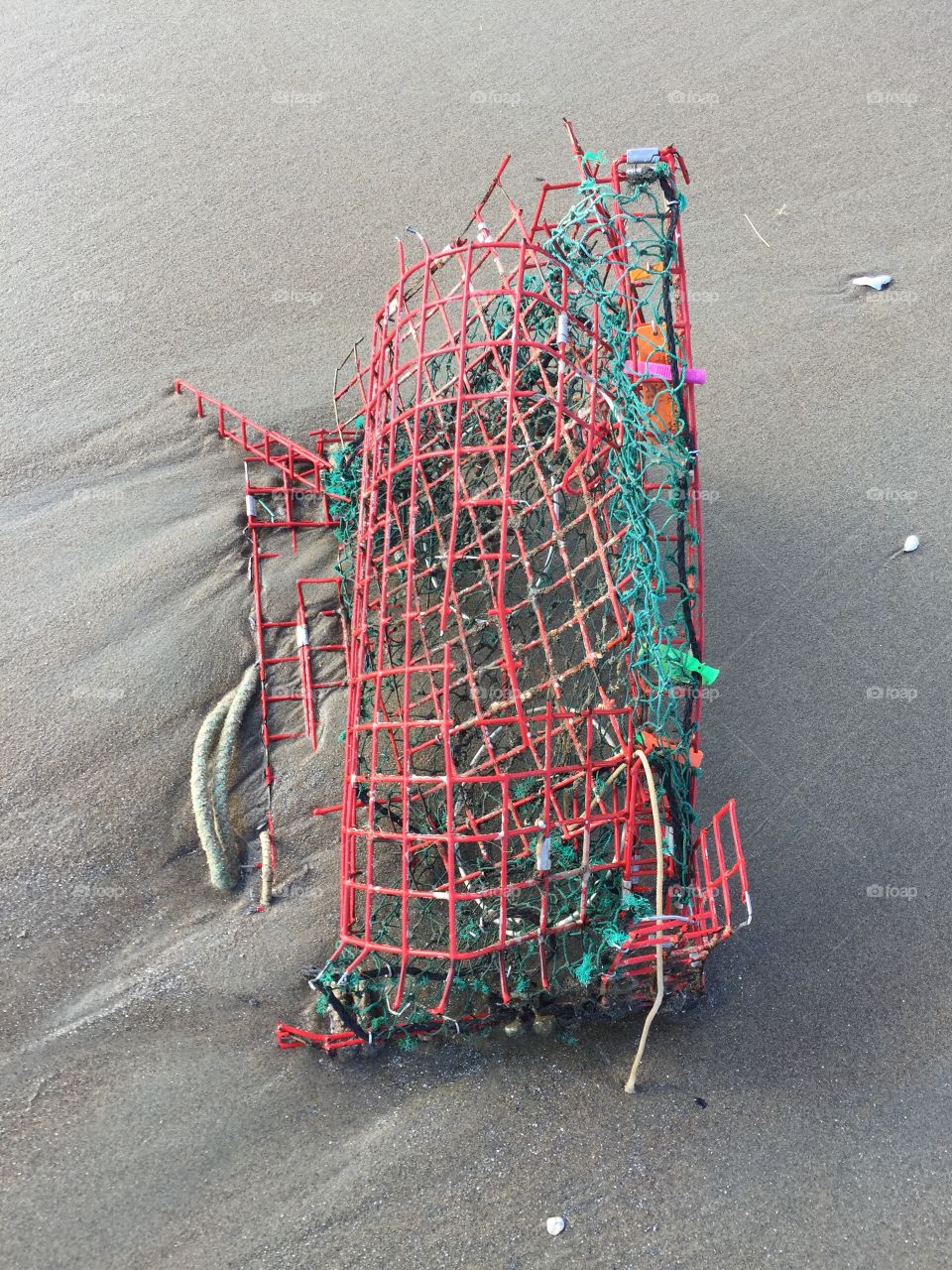 Damaged cage on sand