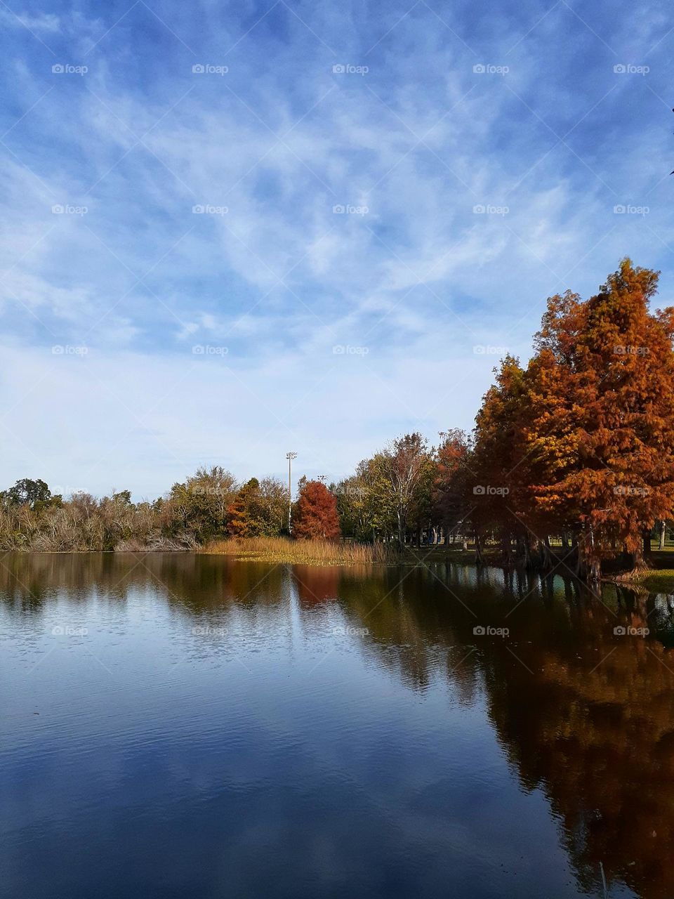 A beautiful landscape showing blue sky and colorful trees at Secret Lake Park in Casselberry, Florida.