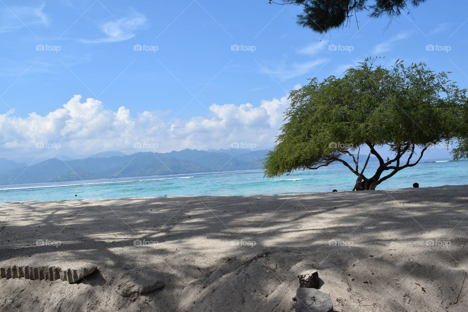 natural landscape at the beach