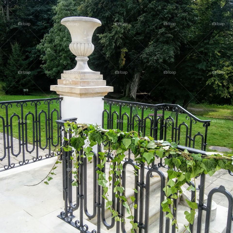 Jabłonna Palace.  Garden.