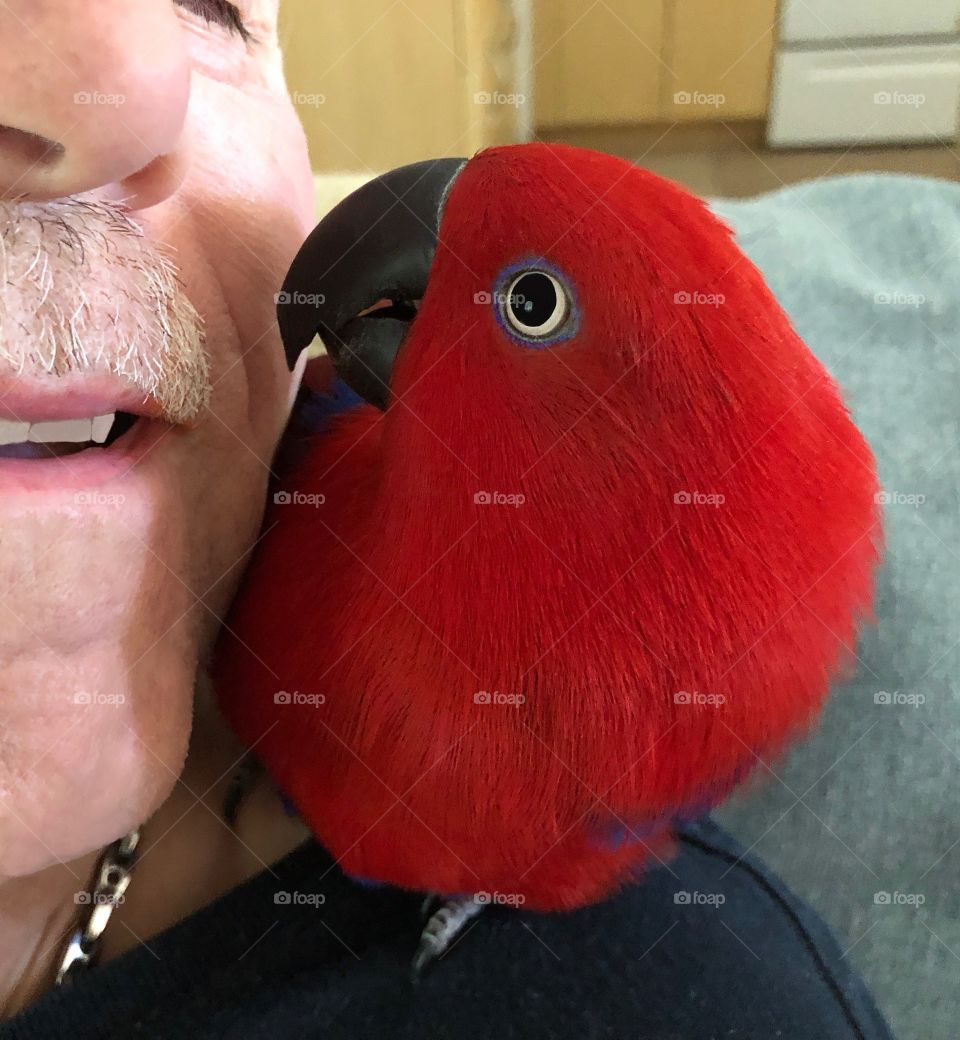 A man and his parrot share some cuddle time.