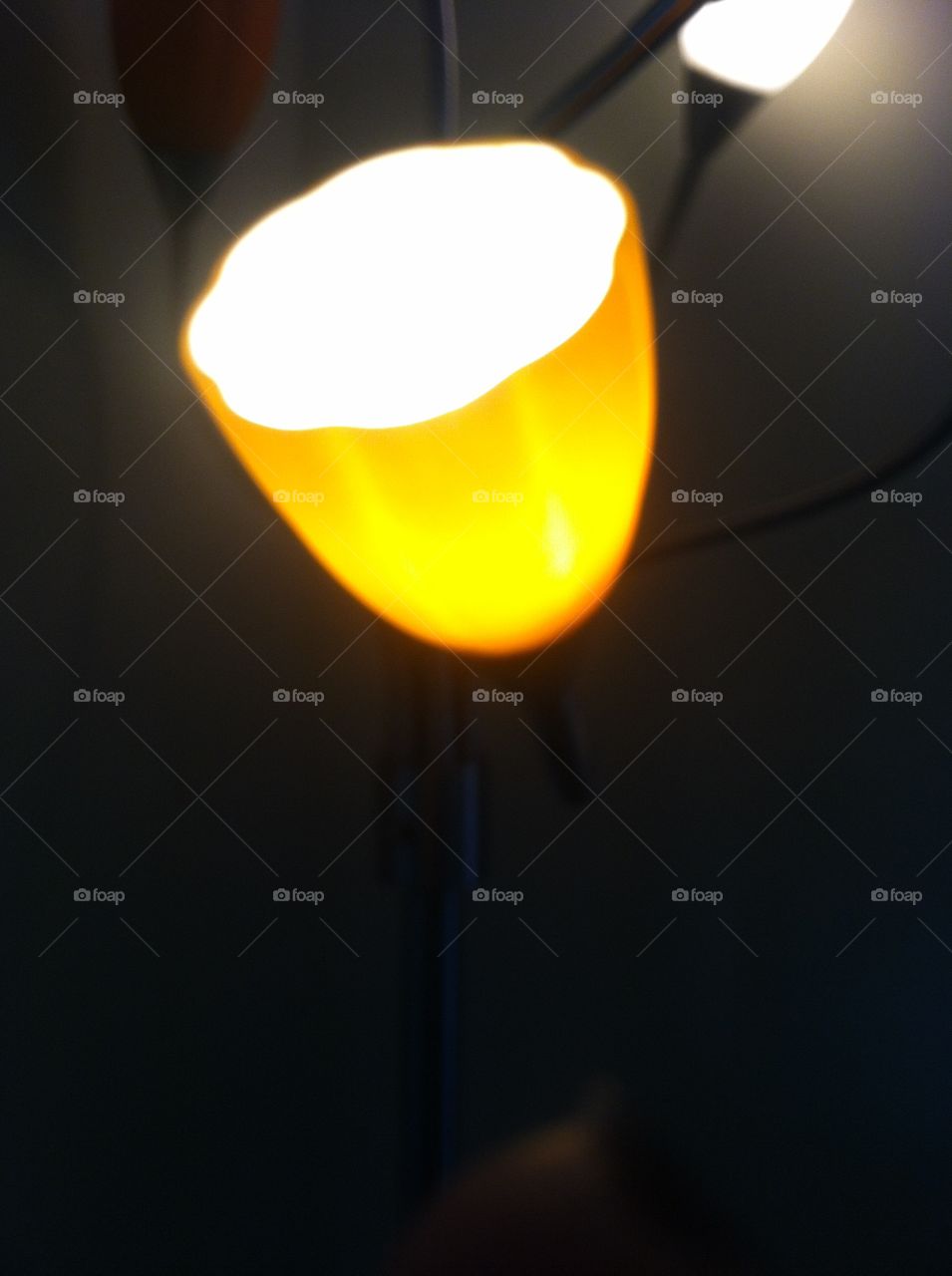 Yellow fower lamp