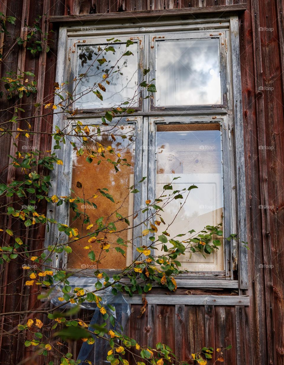 window to the world. 
with fall view.
reflection in the window .
colorful fall coulors.