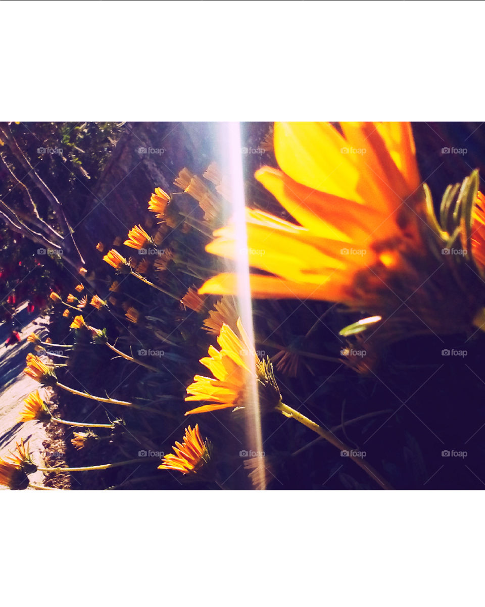 a beautiful spring day