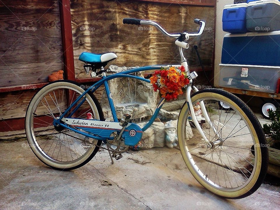 Schwinn. I was making bouquets for a wedding had an extra so I put it on my bike and rode to the beach when I was done.. thought it was cute. 