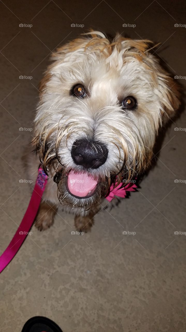 PRETTY YOUNG THING❤☄🎀💝