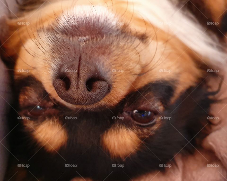 Le monde à l'envers