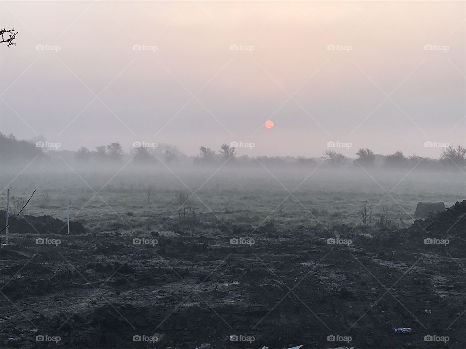 Frozen morning 