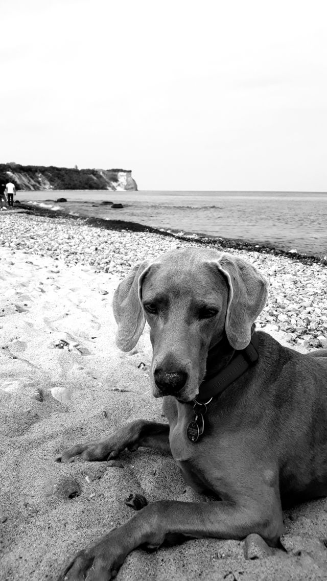 Ruby