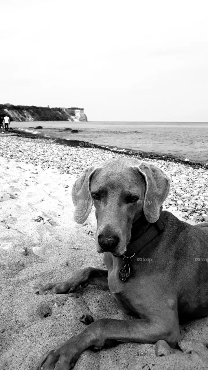 Ruby