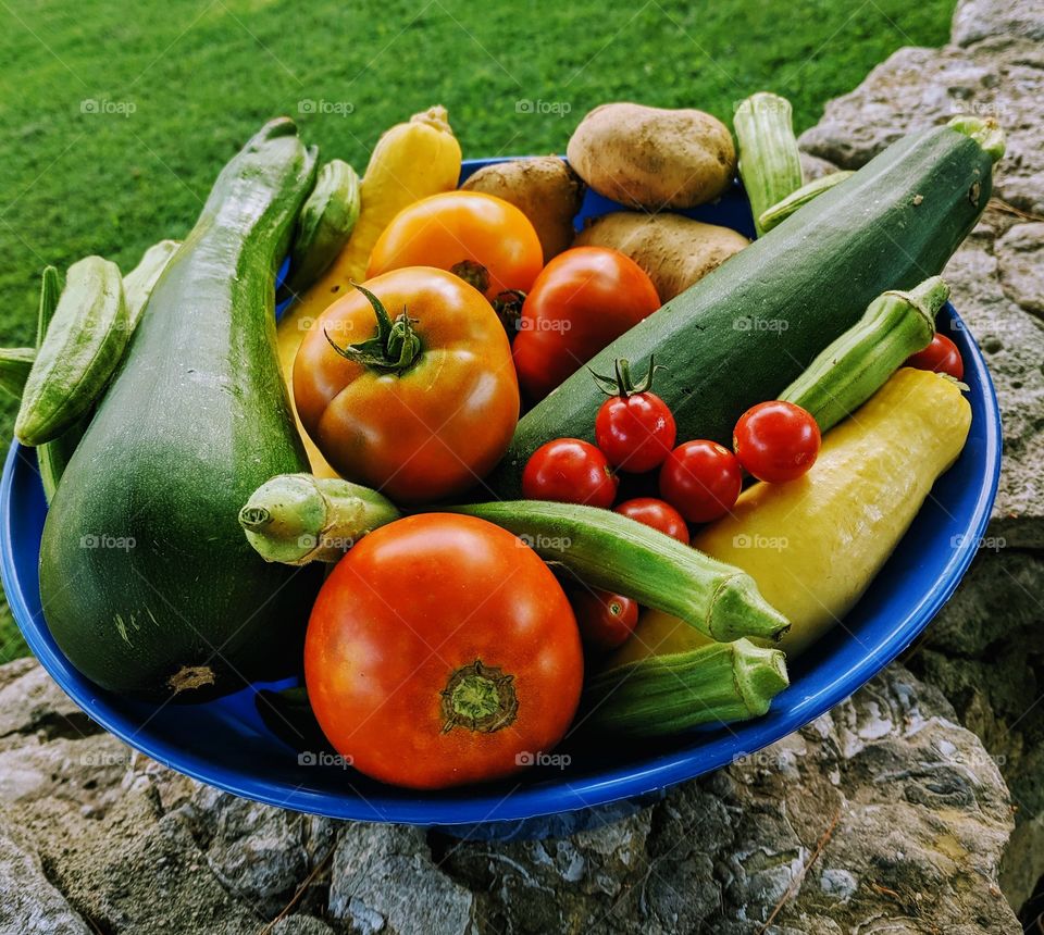 garden vegetables