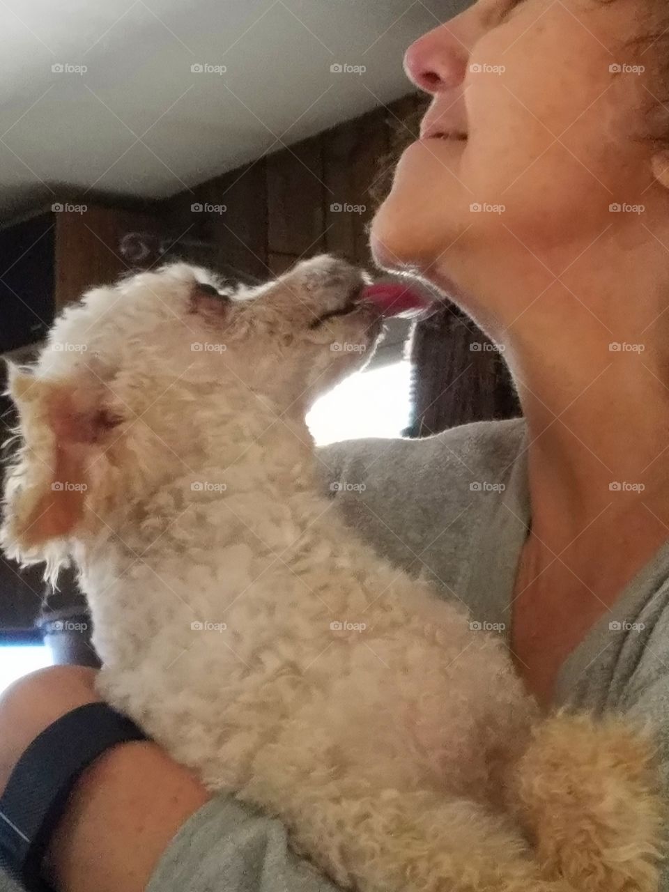 Love of a dog. Kissing owner in profile.