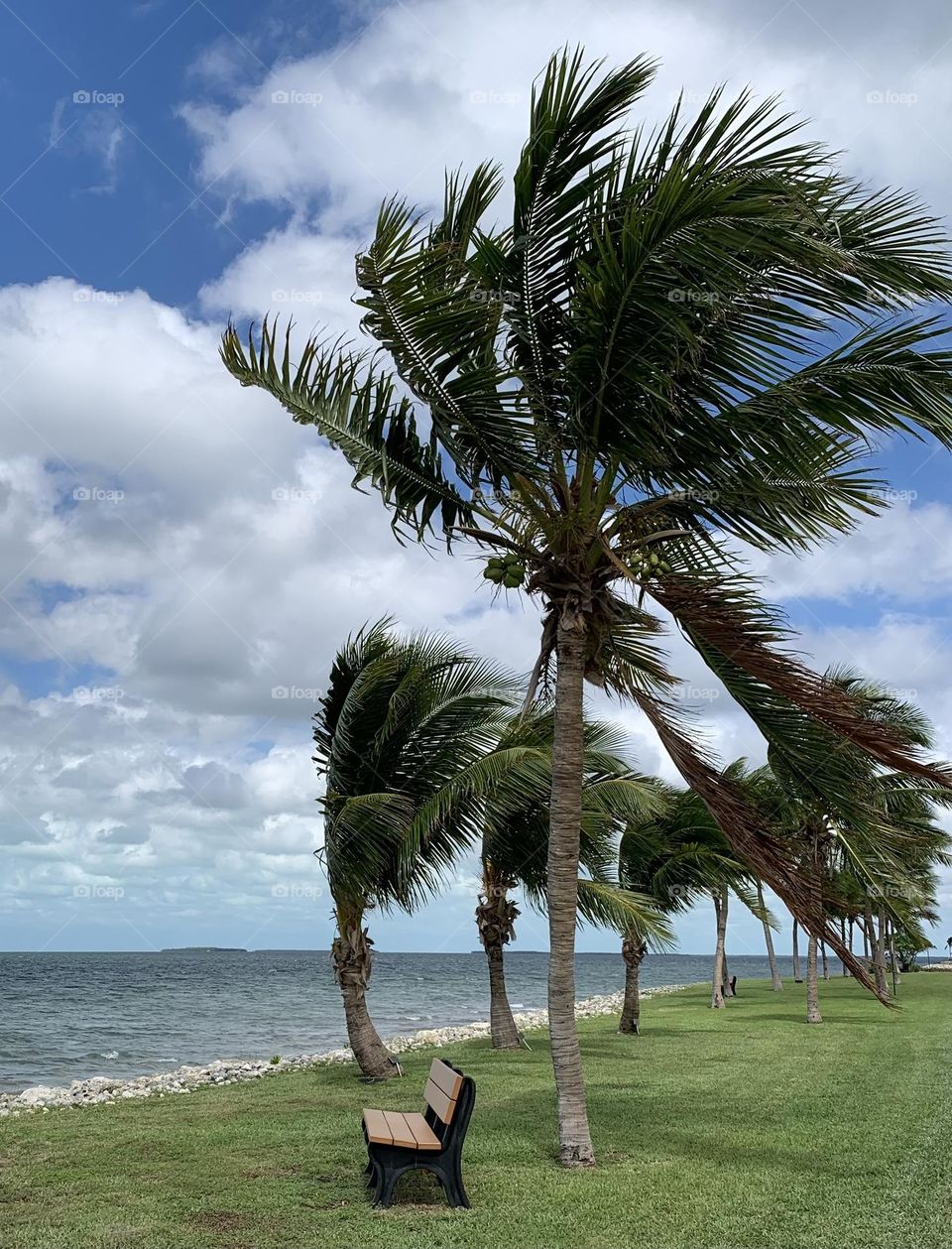 WINDY DAY