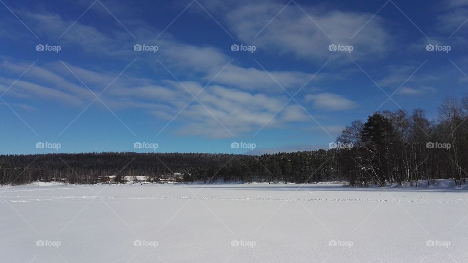 Snow, Winter, Landscape, Tree, Weather
