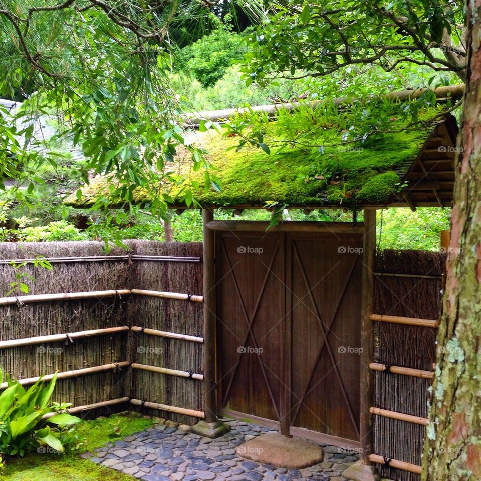 Beautiful Japanese Garden