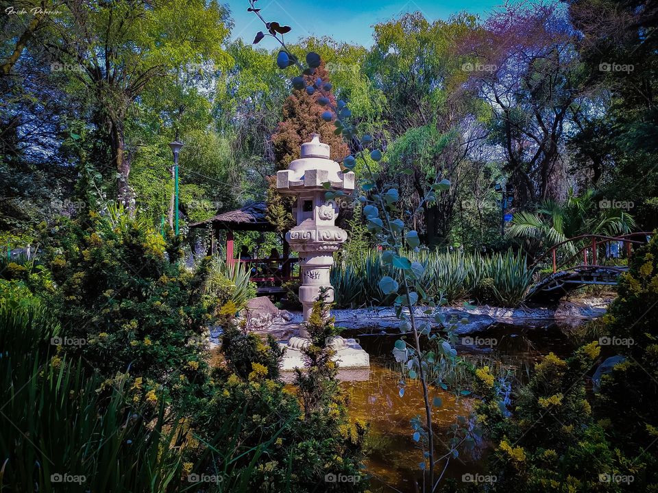 small japanese garden