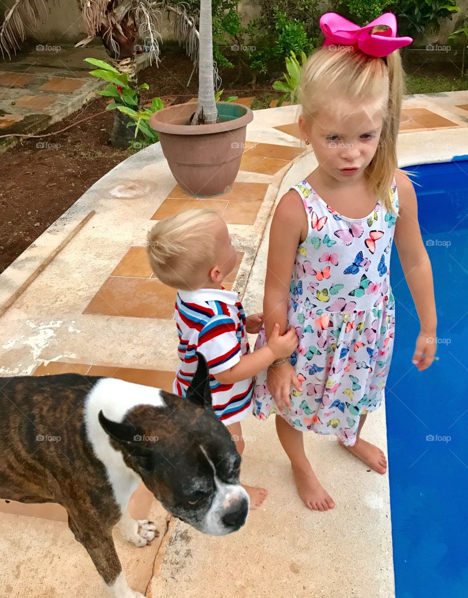 Siblings having summer fun with their boxer breed dog 