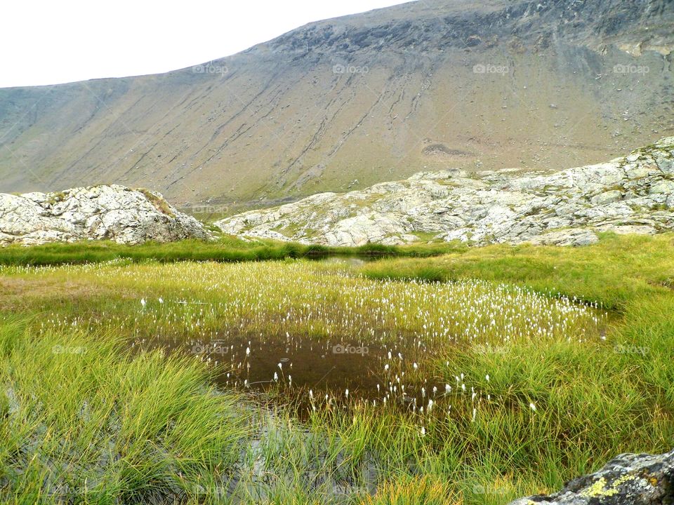 Mare in Venosc in France