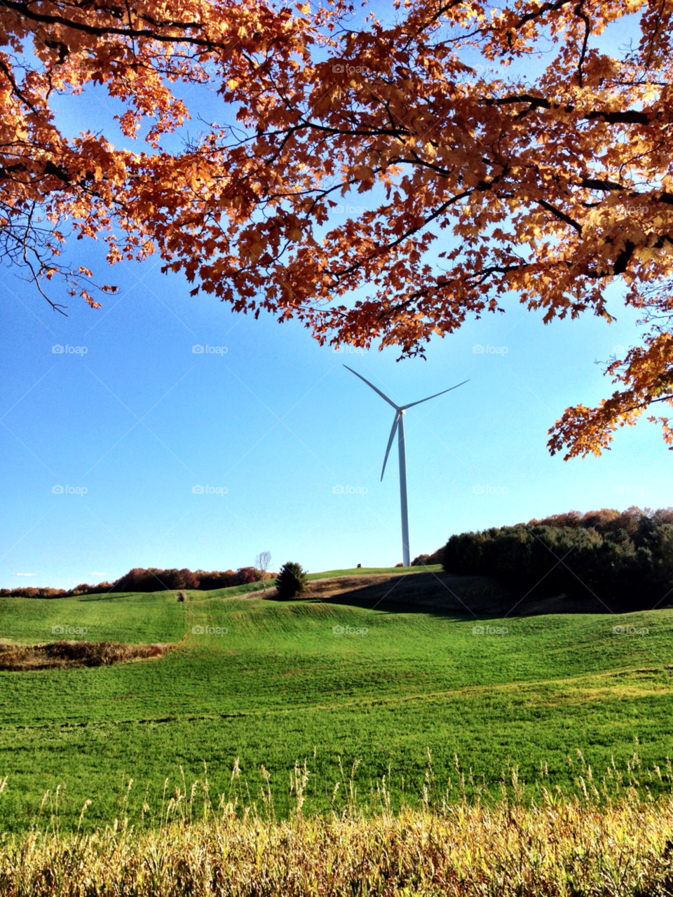 autumn wind farm michigan by ManOfBeard