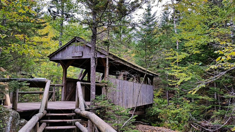 Covered Bridge in the Forest!