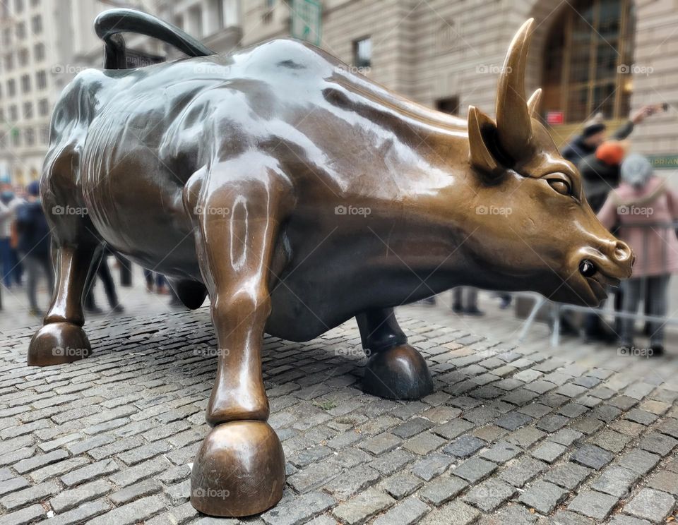 Charging bull, New York City