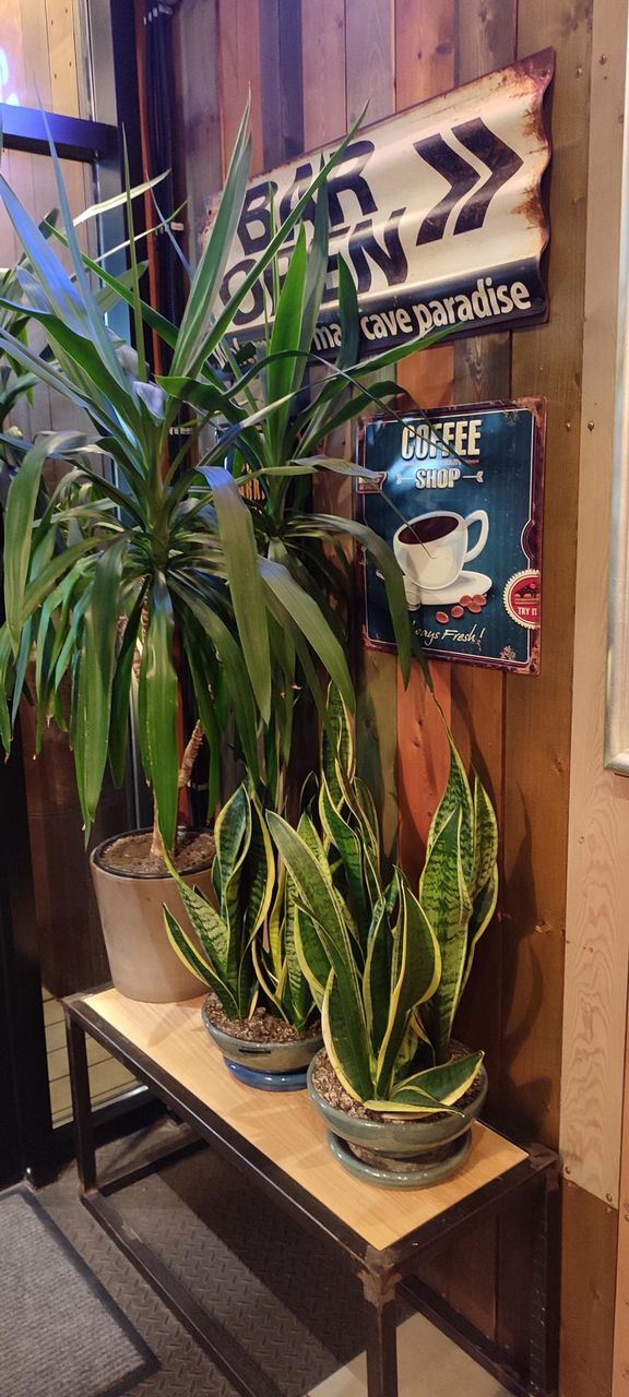 cafe interior