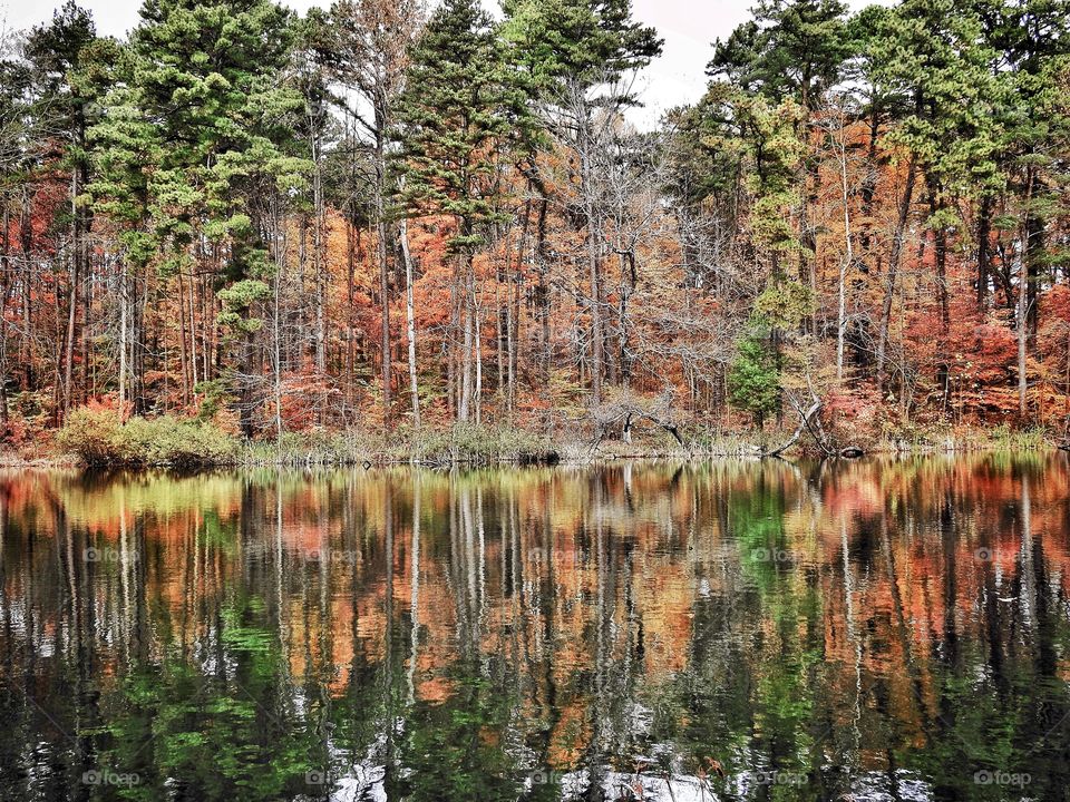 A fall view on a lake in the forest in southern Indiana 