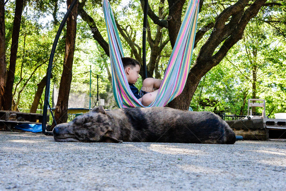 Just a boy and his dog