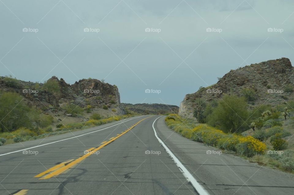 Road, Landscape, Travel, Highway, No Person