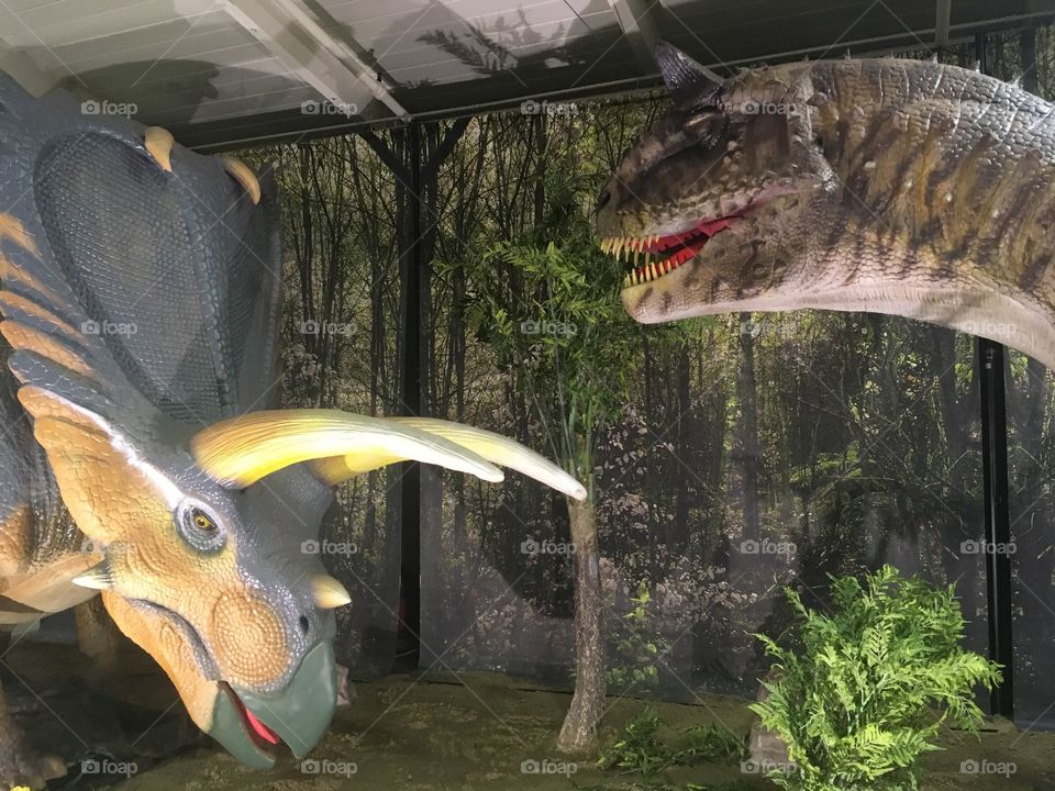 Indoor robot dinosaur display