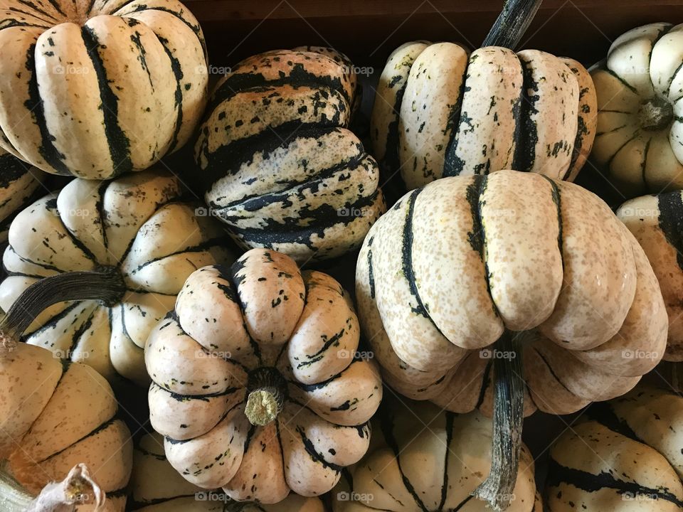 White pumpkins