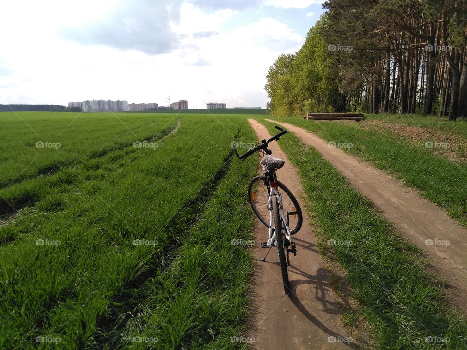 bike on a road green field summer landscape