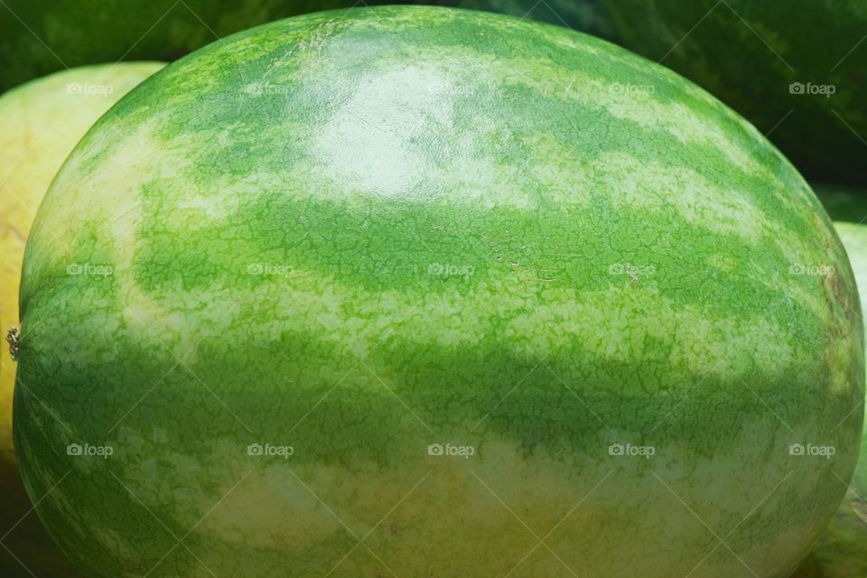 An large uncut watermelon for sale outside  a produce market in  Brooklyn,  New York City.