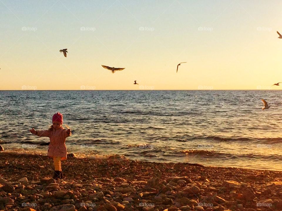 дети море птицы природа..