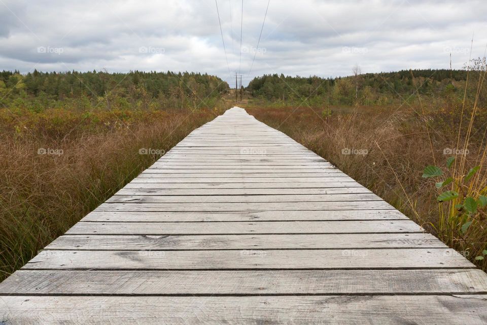 Long wooden boardwalk over wet land surrounded by low vegetation 