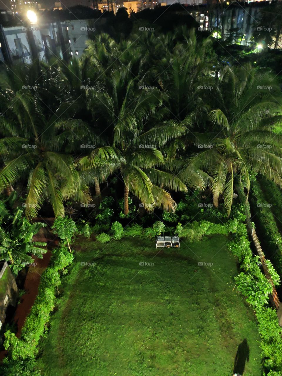 Heaven on The  Earth
Beautiful Lawn,
With Green Grass...
Sitting Chair
Near 
and Nearest to 
Orchard Of Coconut 🌴