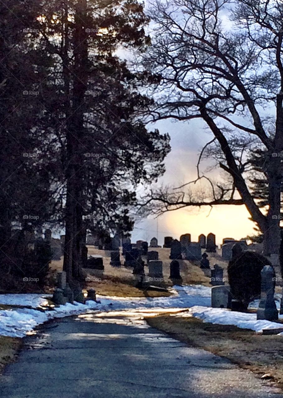 Sunlight in the cemetery 