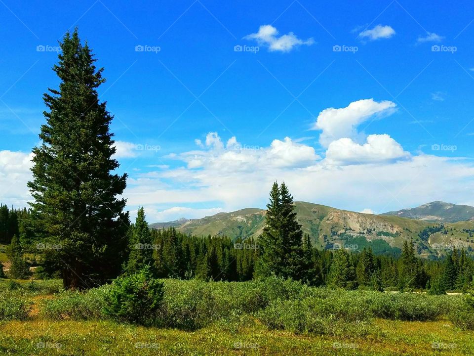 mountains Colorado