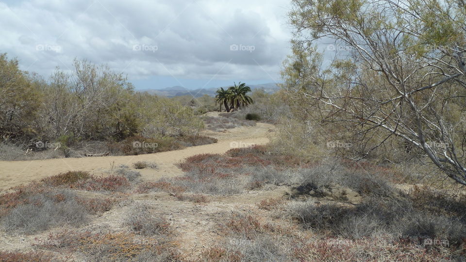 Landschaft auf Gran Canaria
