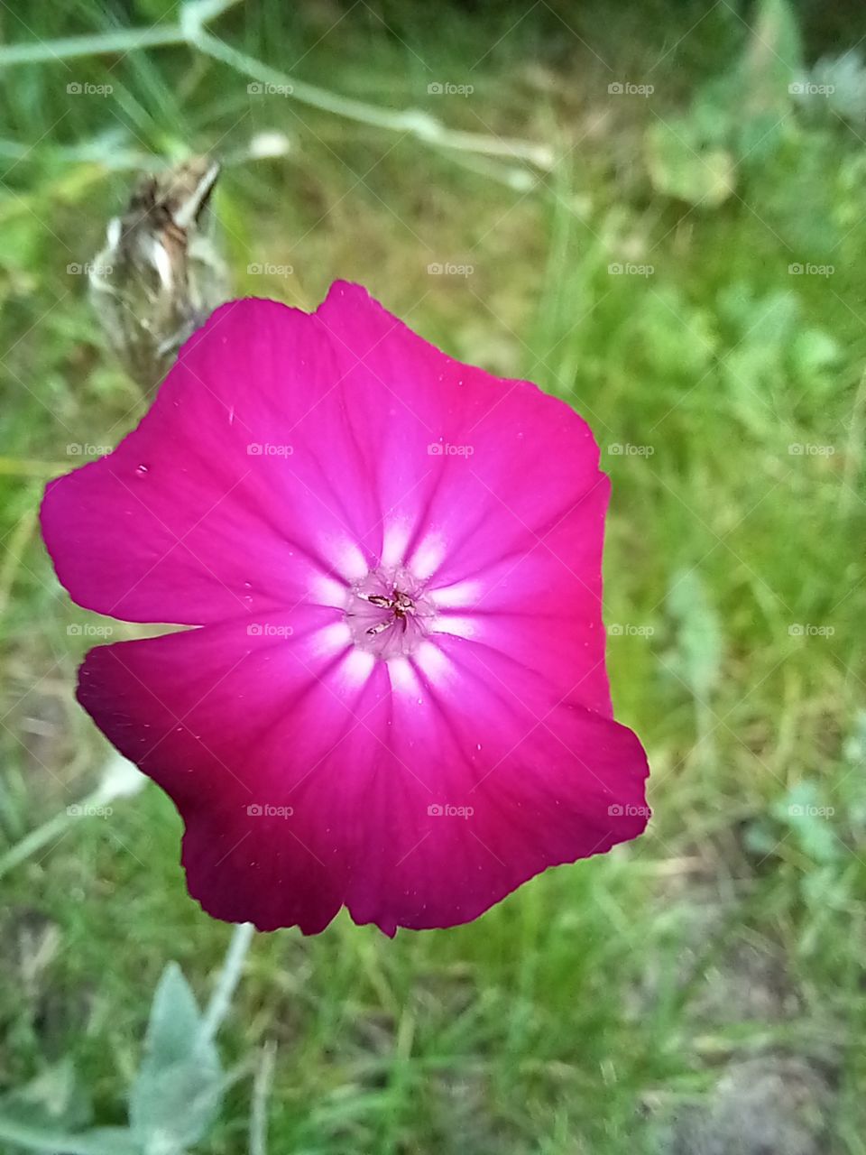 by the shoreline in the Peninsula state.
